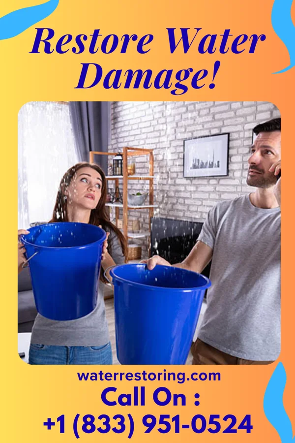 water restoration Premier Water Cleanup LLC Richmond