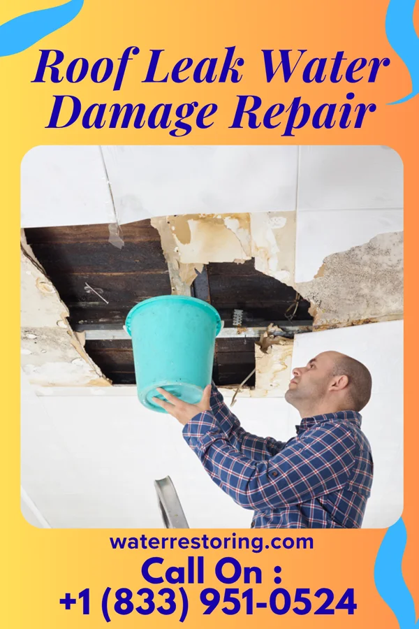 Roof Leak Water Damage Repair in Richmond, TX