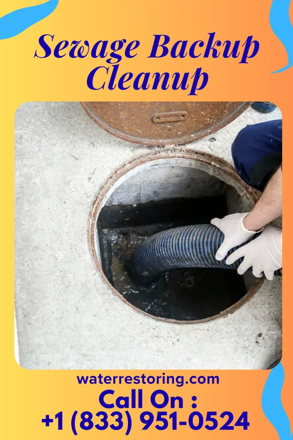 Sewage Backup Cleanup in Richmond, TX